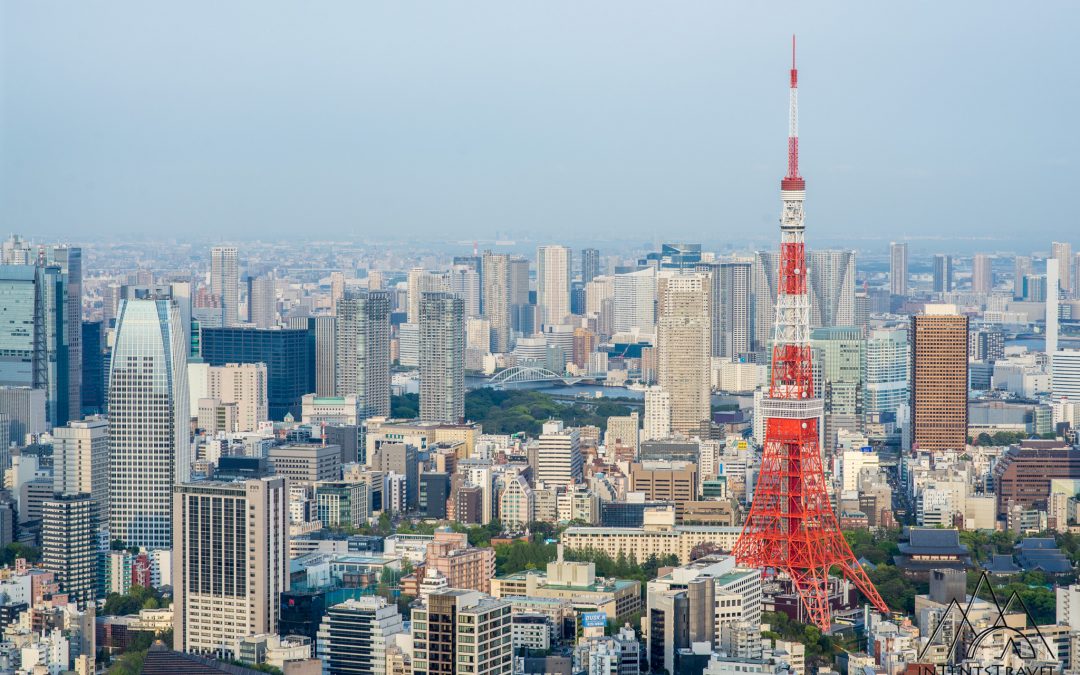 Tokyo From Above