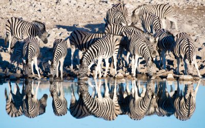 Photographing Namibia