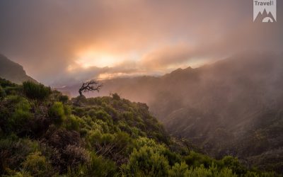 Madeira Travel Guide